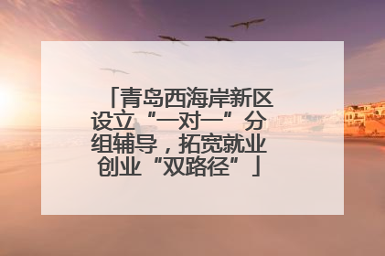 青岛西海岸新区设立“一对一”分组辅导，拓宽就业创业“双路径”