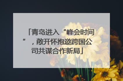 青岛进入“峰会时间”，敞开怀抱邀跨国公司共谋合作新局