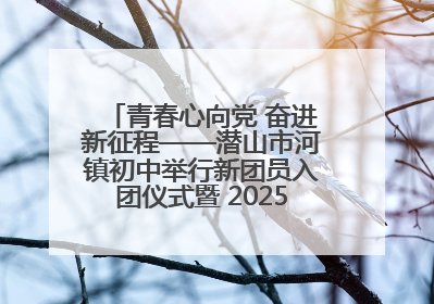 青春心向党 奋进新征程——潜山市河镇初中举行新团员入团仪式暨 2025年度团员大会