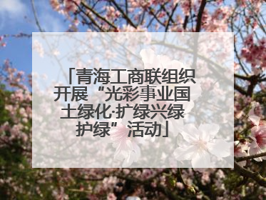 青海工商联组织开展“光彩事业国土绿化·扩绿兴绿护绿”活动