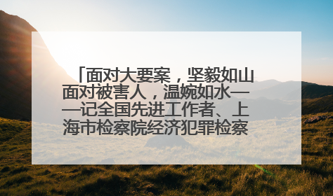面对大要案，坚毅如山面对被害人，温婉如水——记全国先进工作者、上海市检察院经济犯罪检察部主任马玮玮