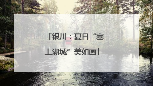 银川：夏日“塞上湖城”美如画