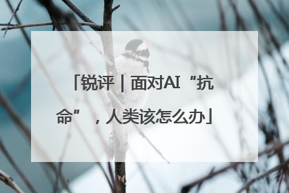 锐评｜面对AI“抗命”，人类该怎么办