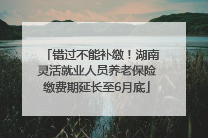 错过不能补缴！湖南灵活就业人员养老保险缴费期延长至6月底