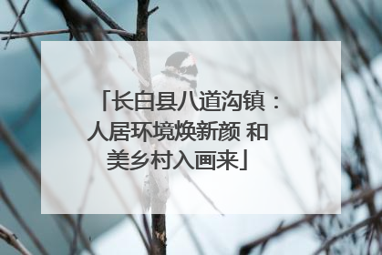 长白县八道沟镇：人居环境焕新颜 和美乡村入画来