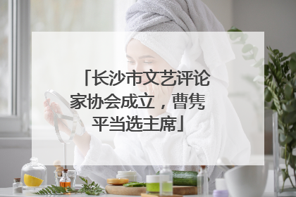 长沙市文艺评论家协会成立，曹隽平当选主席