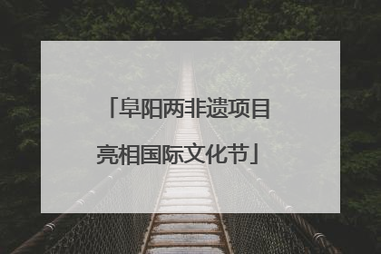 阜阳两非遗项目亮相国际文化节