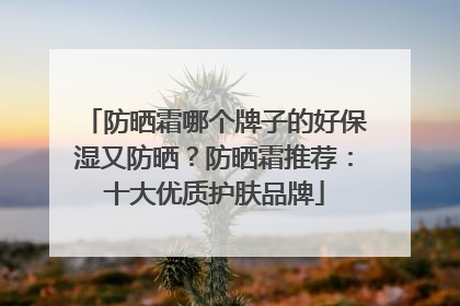 防晒霜哪个牌子的好保湿又防晒？防晒霜推荐：十大优质护肤品牌