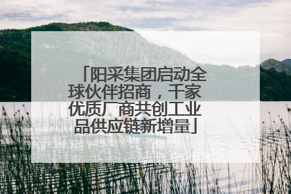 阳采集团启动全球伙伴招商，千家优质厂商共创工业品供应链新增量