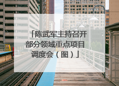 陈武军主持召开部分领域重点项目调度会（图）