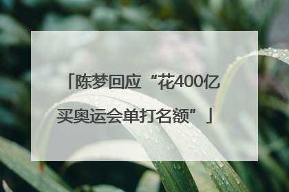 陈梦回应“花400亿买奥运会单打名额”