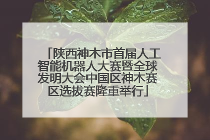 陕西神木市首届人工智能机器人大赛暨全球发明大会中国区神木赛区选拔赛隆重举行