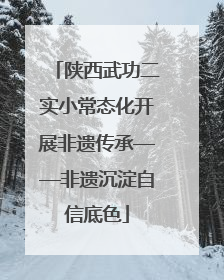 陕西武功二实小常态化开展非遗传承——非遗沉淀自信底色