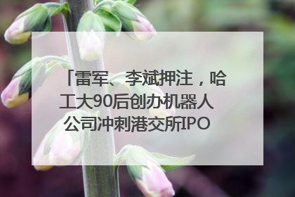 雷军、李斌押注，哈工大90后创办机器人公司冲刺港交所IPO｜IPO直通车