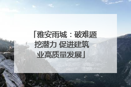 雅安雨城：破难题 挖潜力 促进建筑业高质量发展