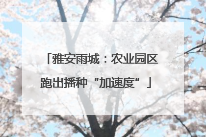 雅安雨城：农业园区跑出播种“加速度”