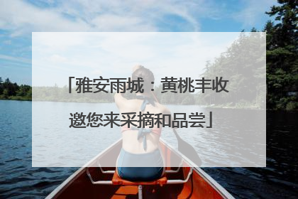 雅安雨城：黄桃丰收 邀您来采摘和品尝