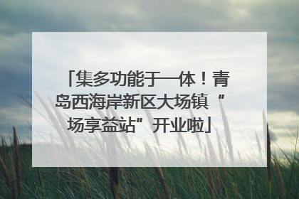 集多功能于一体！青岛西海岸新区大场镇“场享益站”开业啦