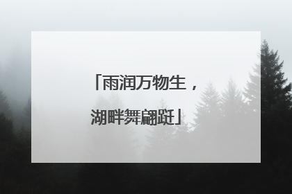 雨润万物生，湖畔舞翩跹