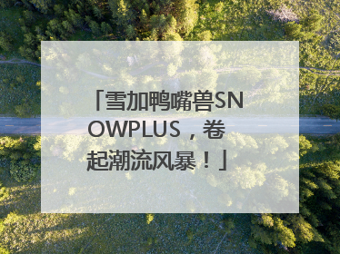 雪加鸭嘴兽SNOWPLUS，卷起潮流风暴！