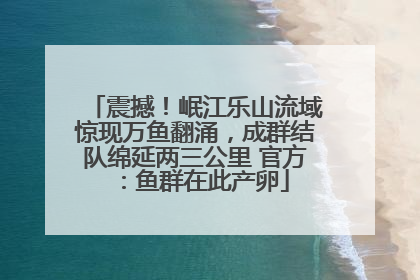 震撼！岷江乐山流域惊现万鱼翻涌，成群结队绵延两三公里 官方：鱼群在此产卵