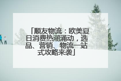 顺友物流：欧美夏日消费热潮涌动，选品、营销、物流一站式攻略来袭