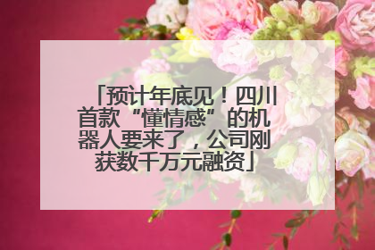 预计年底见！四川首款“懂情感”的机器人要来了，公司刚获数千万元融资