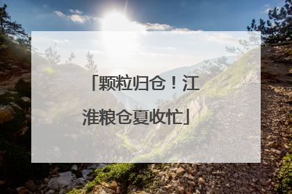 颗粒归仓！江淮粮仓夏收忙