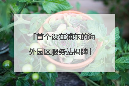 首个设在浦东的海外园区服务站揭牌