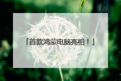 首款鸿蒙电脑亮相！