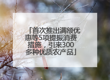 首次推出满额优惠等5项提振消费措施，引来300多种优质农产品