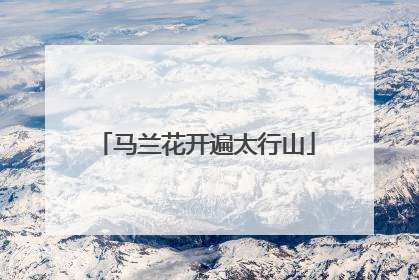 马兰花开遍太行山
