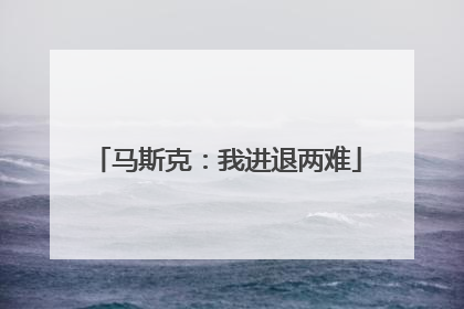 马斯克：我进退两难