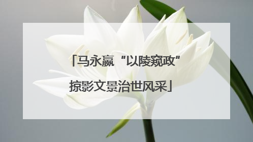 马永嬴“以陵窥政” 掠影文景治世风采