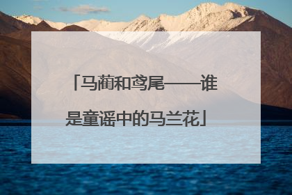 马蔺和鸢尾——谁是童谣中的马兰花