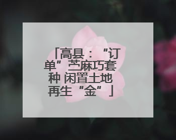 高县：“订单”苎麻巧套种 闲置土地再生“金”