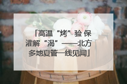高温“烤”验 保灌解“渴”——北方多地夏管一线见闻