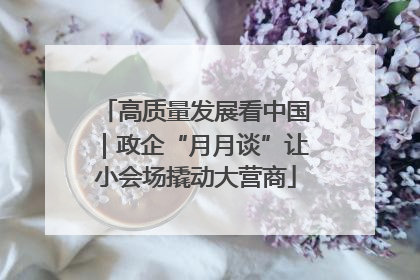 高质量发展看中国｜政企“月月谈”让小会场撬动大营商