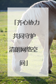 齐心协力 共同守护清朗网络空间