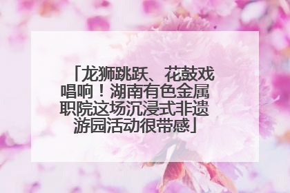 龙狮跳跃、花鼓戏唱响！湖南有色金属职院这场沉浸式非遗游园活动很带感