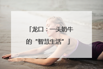 龙口：一头奶牛的“智慧生活”