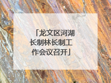 龙文区河湖长制林长制工作会议召开