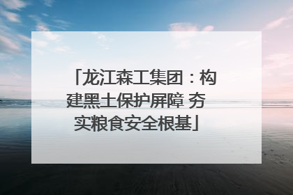 龙江森工集团：构建黑土保护屏障 夯实粮食安全根基