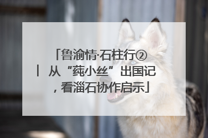 鲁渝情·石柱行② ︳从“莼小丝”出国记，看淄石协作启示