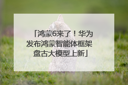 鸿蒙6来了！华为发布鸿蒙智能体框架 盘古大模型上新