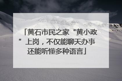 黄石市民之家“黄小政”上岗，不仅能聊天办事还能听懂多种语言