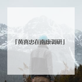 黄喜忠在南康调研