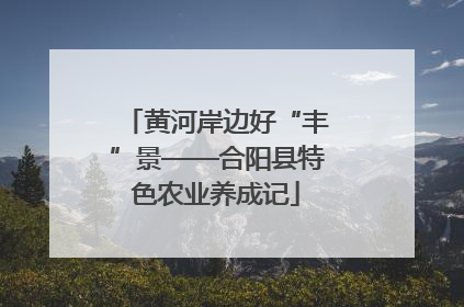 黄河岸边好“丰”景——合阳县特色农业养成记