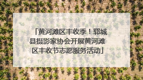黄河滩区丰收季！郓城县摄影家协会开展黄河滩区丰收节志愿服务活动