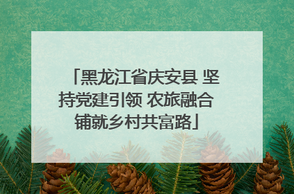 黑龙江省庆安县 坚持党建引领 农旅融合铺就乡村共富路